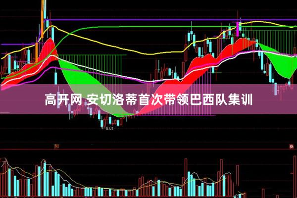 高开网 安切洛蒂首次带领巴西队集训