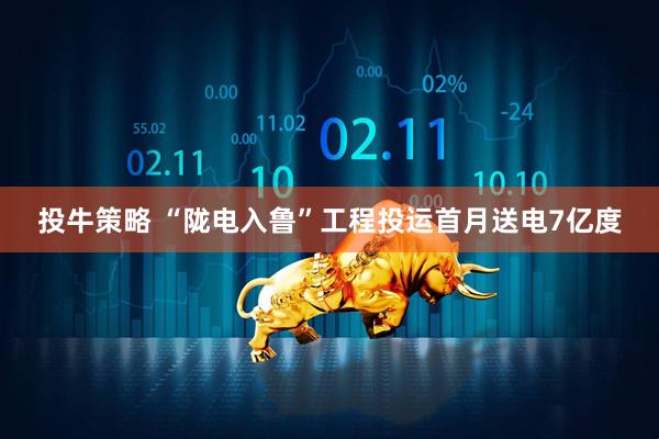 投牛策略 “陇电入鲁”工程投运首月送电7亿度