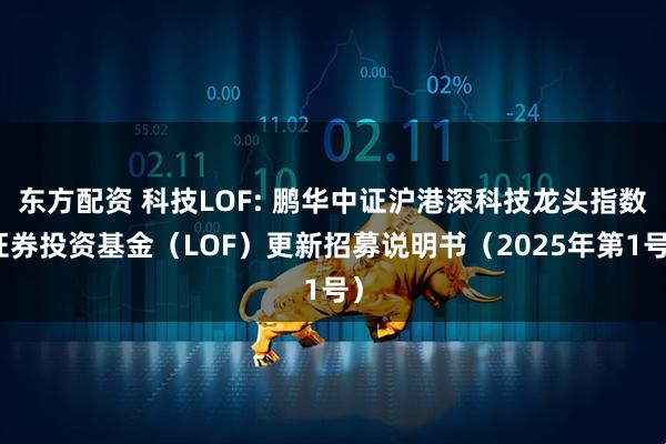 东方配资 科技LOF: 鹏华中证沪港深科技龙头指数证券投资基金（LOF）更新招募说明书（2025年第1号）