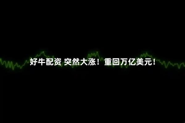 好牛配资 突然大涨！重回万亿美元！