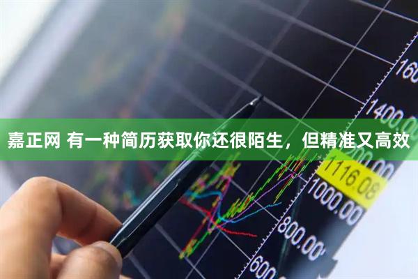 嘉正网 有一种简历获取你还很陌生，但精准又高效