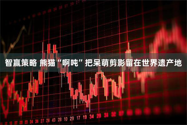 智赢策略 熊猫“啊吨”把呆萌剪影留在世界遗产地