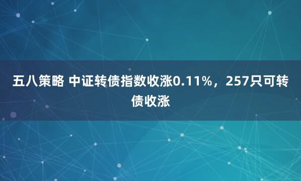 五八策略 中证转债指数收涨0.11%，257只可转债收涨