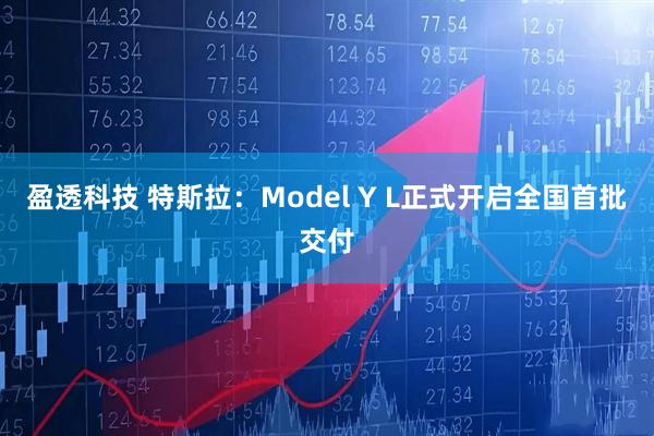 盈透科技 特斯拉：Model Y L正式开启全国首批交付