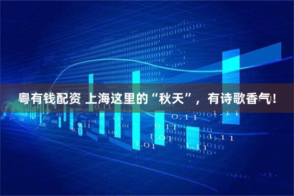 粤有钱配资 上海这里的“秋天”，有诗歌香气！