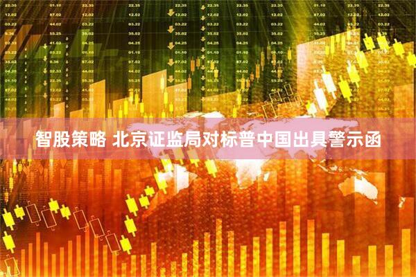 智股策略 北京证监局对标普中国出具警示函
