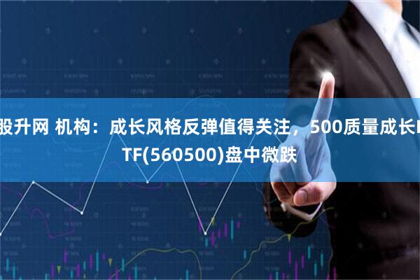 股升网 机构：成长风格反弹值得关注，500质量成长ETF(560500)盘中微跌